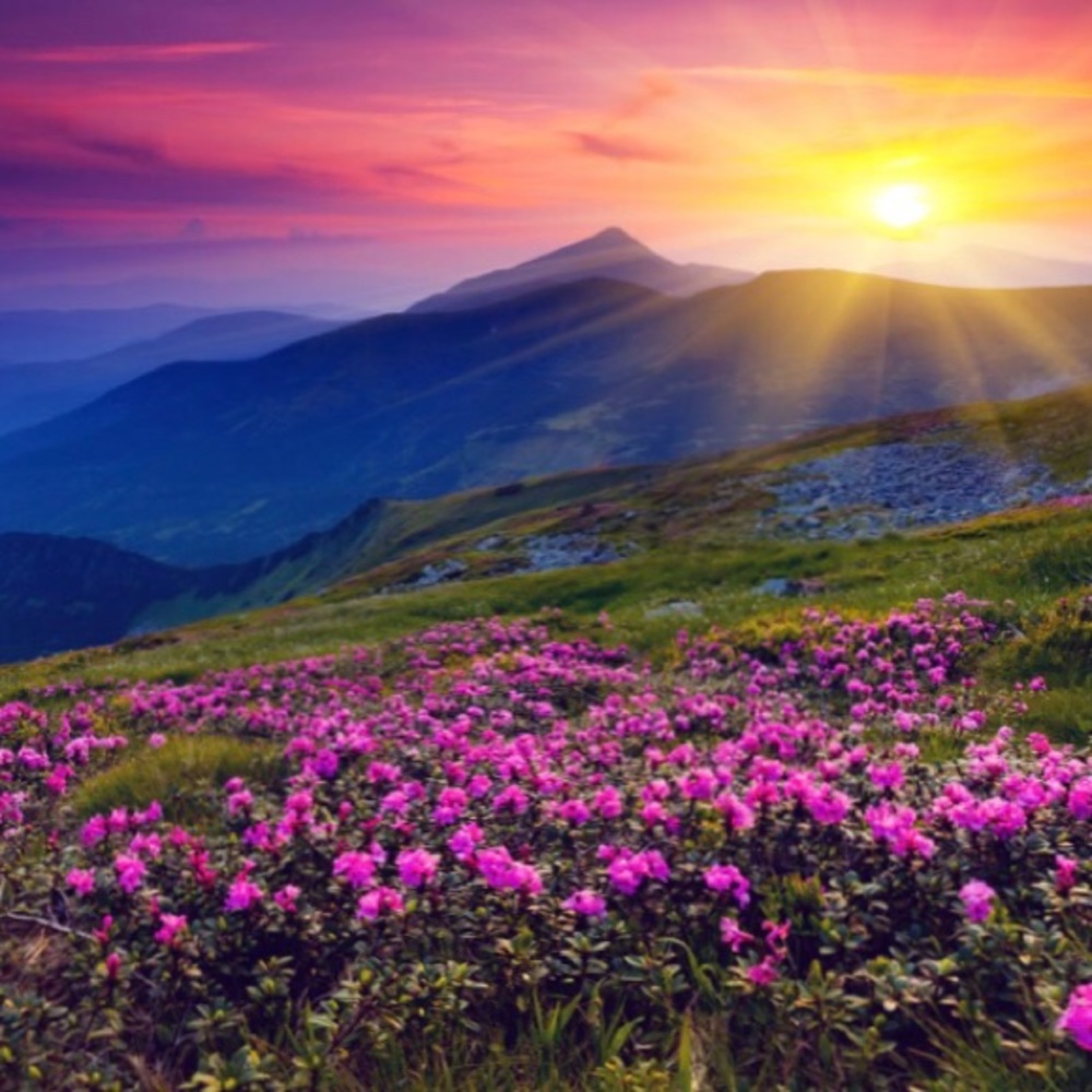 Welcome on in ♥️Stay for coffee☕️Leisurely Browse!